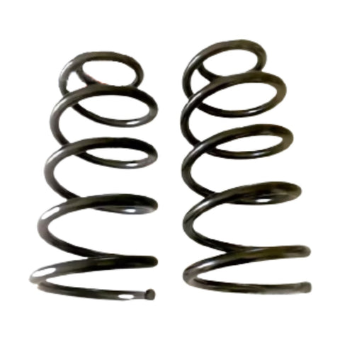 KIT MOLLE POSTERIORI RINFORZATE SOVRACCARICO FIAT PUNTO 188 GRANDE PUNTO IDEA