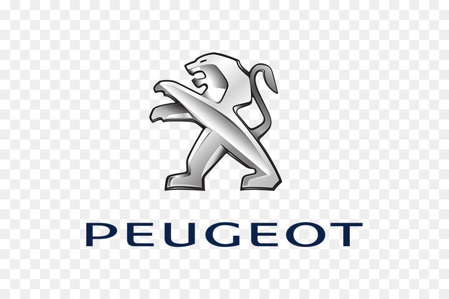 AMMORTIZZATORI MOLLE A GAS PORTELLONE PISTONCINI BAULE POSTERIORE PEUGEOT 207
