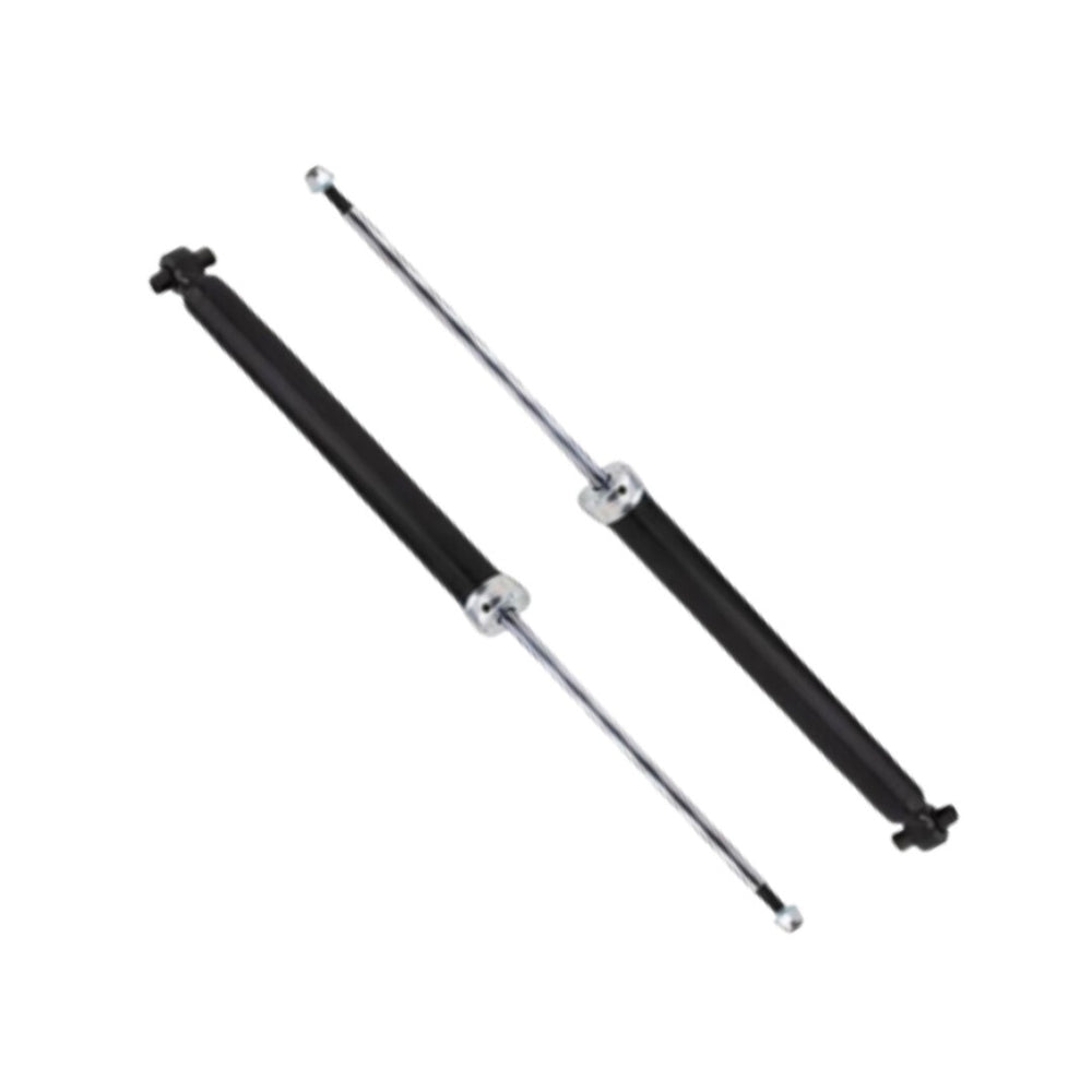 2 AMMORTIZZATORI POSTERIORI DX SX FIAT GRANDE PUNTO PUNTO EVO PUNTO 199 >2013