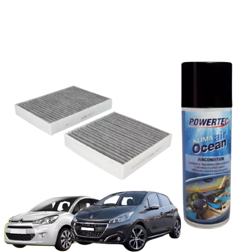FILTRO ABITACOLO ANTIPOLLINE CITROEN C3 II PEUGEOT 207 208 2008 + IGIENIZZANTE
